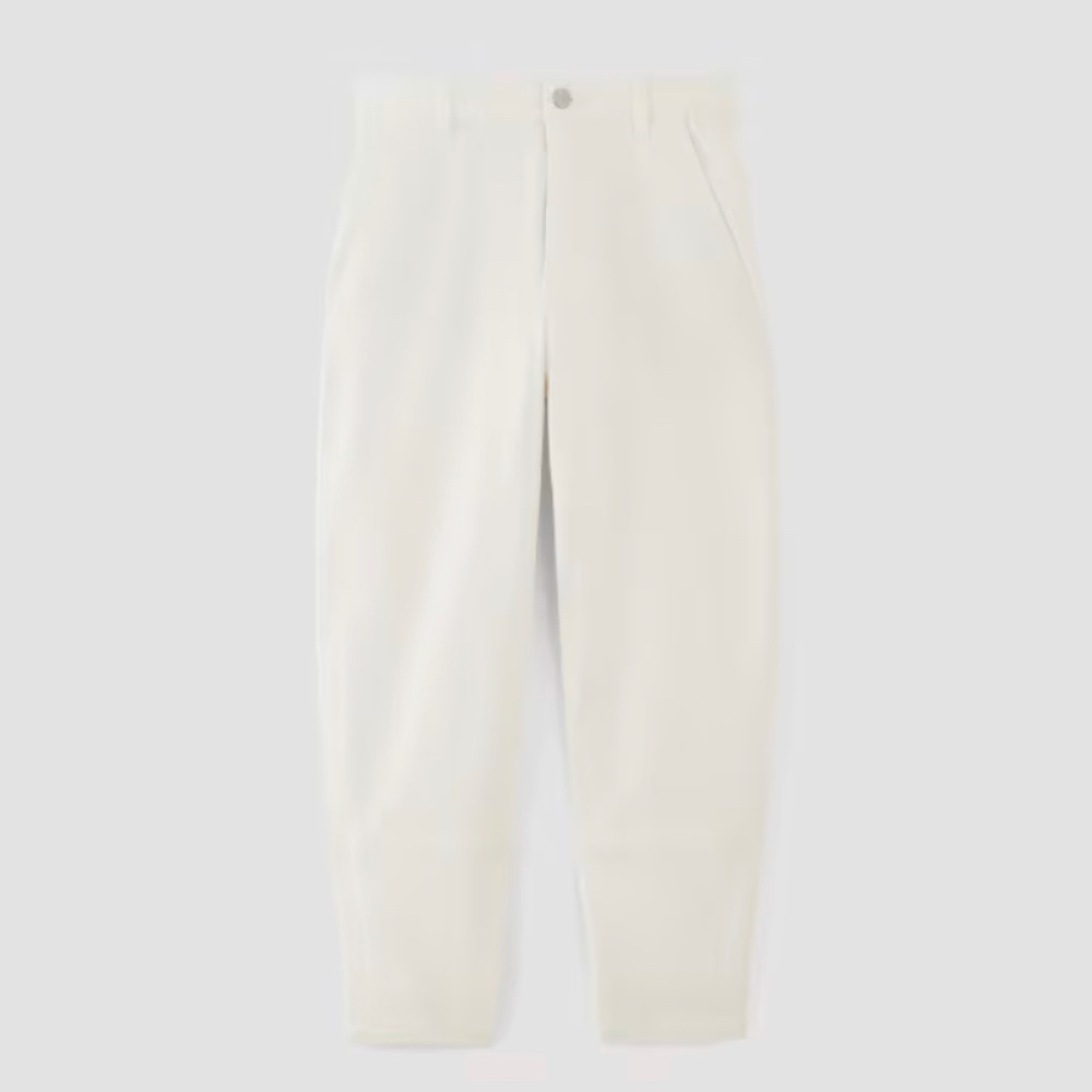 Everlane Utility Barrel Pant